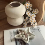 شمع ستاره دریایی باکیفیت